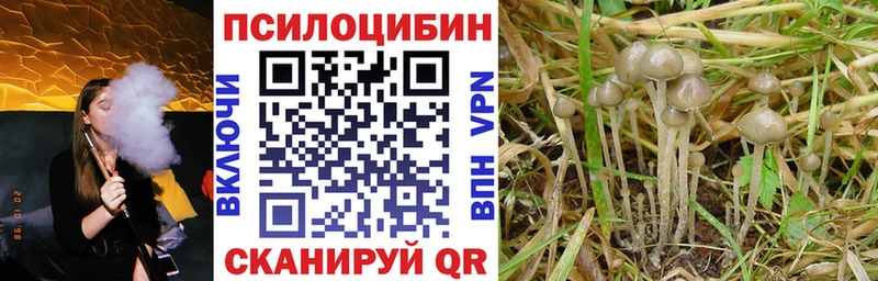 цена наркотик Нефтеюганск OMG ссылки Псилоцибиновые грибы Cubensis